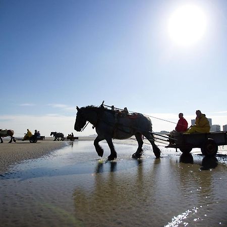Vitamine D Коксейде Экстерьер фото